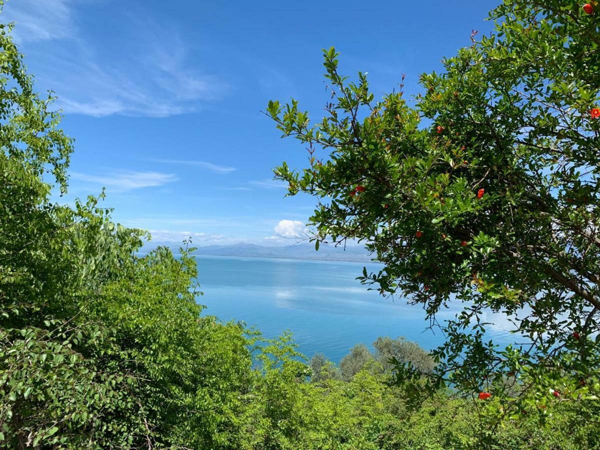 Vani I Bardhe Zogaj  Bagian luar foto